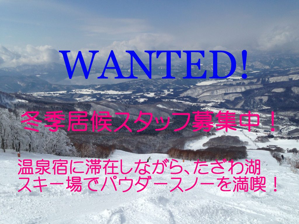 Wanted: Staff for this winter! 冬季居候スタッフ募集中！