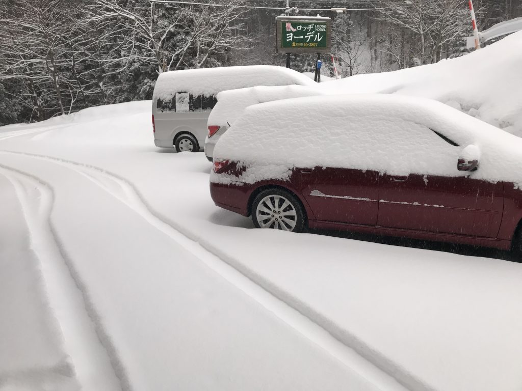 久しぶりにまとまった雪が降った！