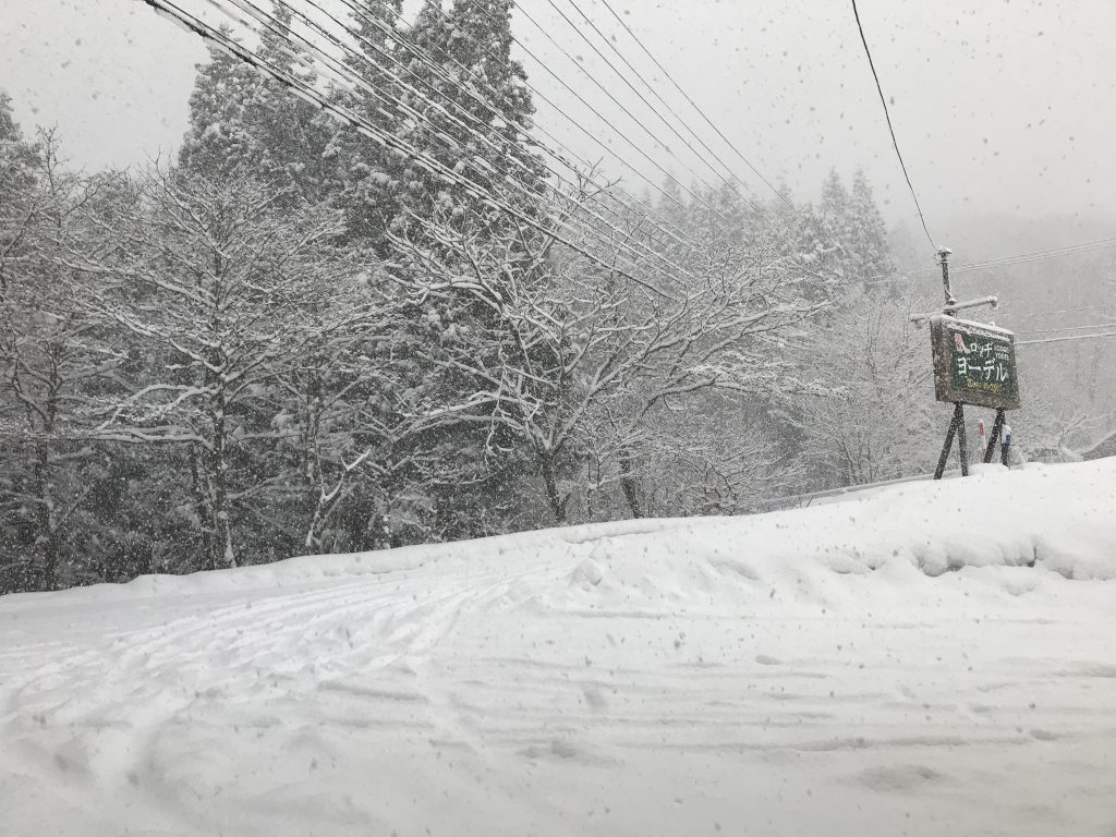 雪、降っています。たざわ湖スキー場、滑走できます！