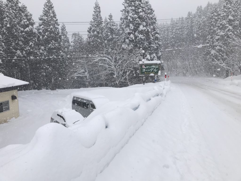 雪が降り続いています