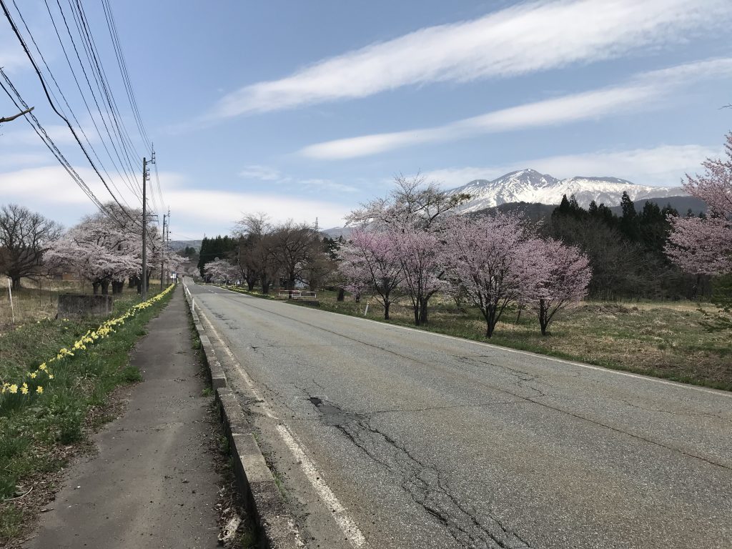 水沢温泉郷のお花たち