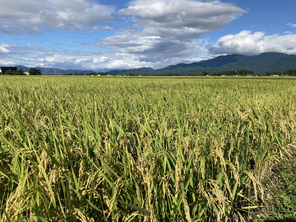 秋田県民の心の風景？