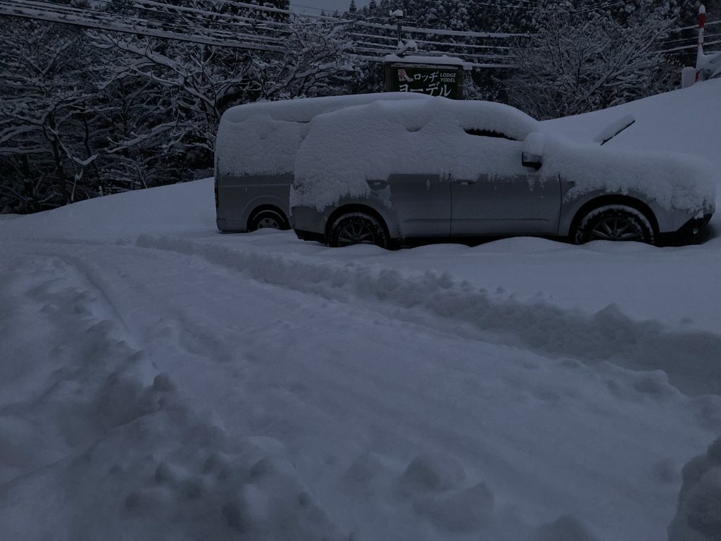 今朝は大量の雪が降りました！