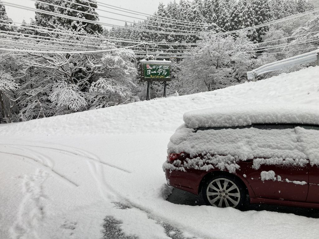 冬景色になりました