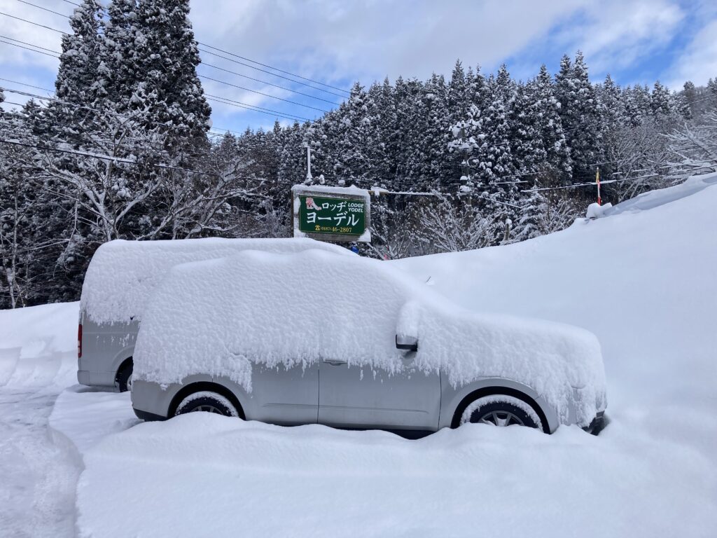 ドサッと雪が降りました