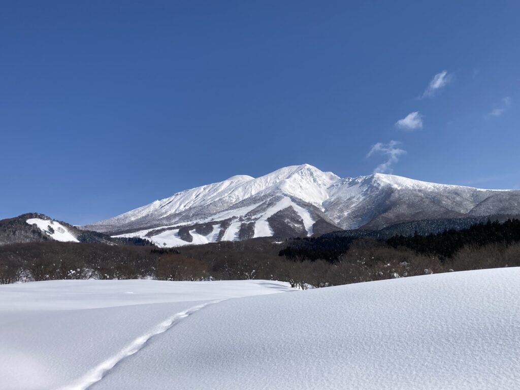 お天気最高の連休初日