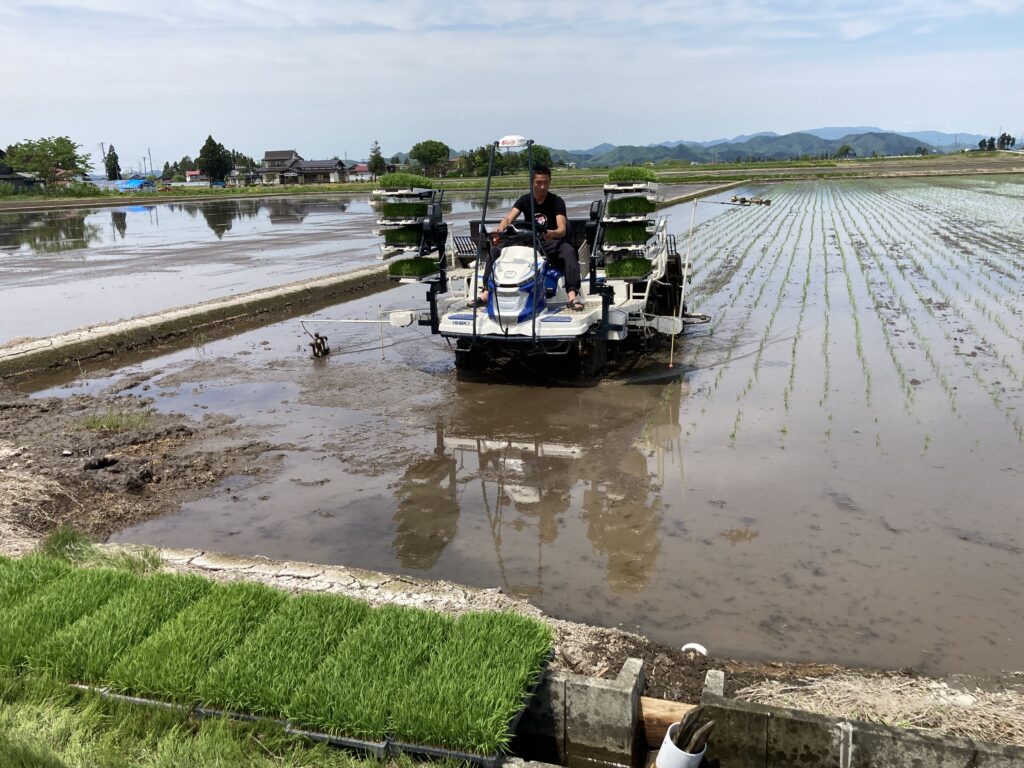 今年も田植えが始まっています　～2022～