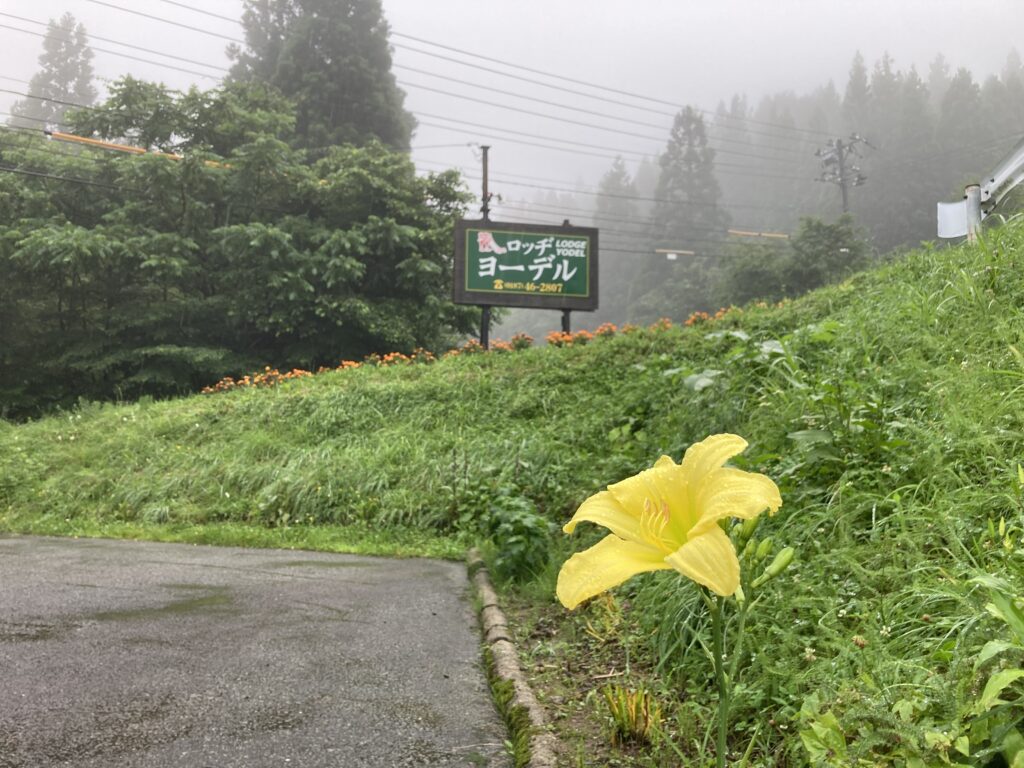 大雨の3連休でしたが･･･