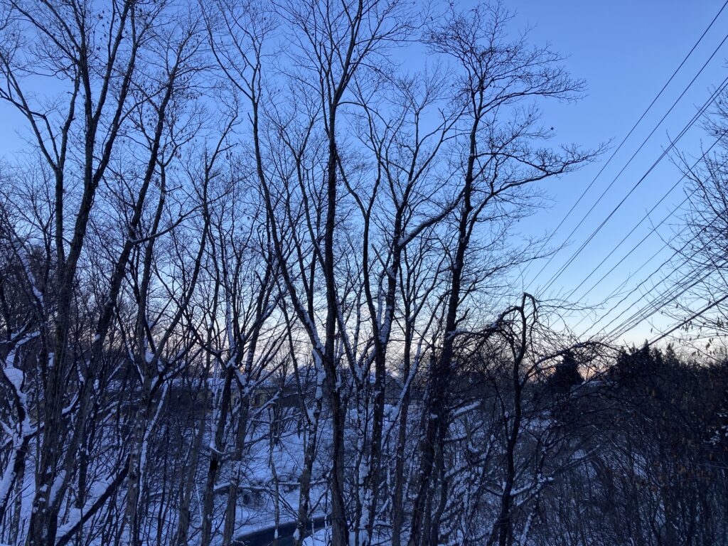 さわやかな朝