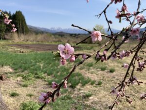 春作業　〜畑の準備〜